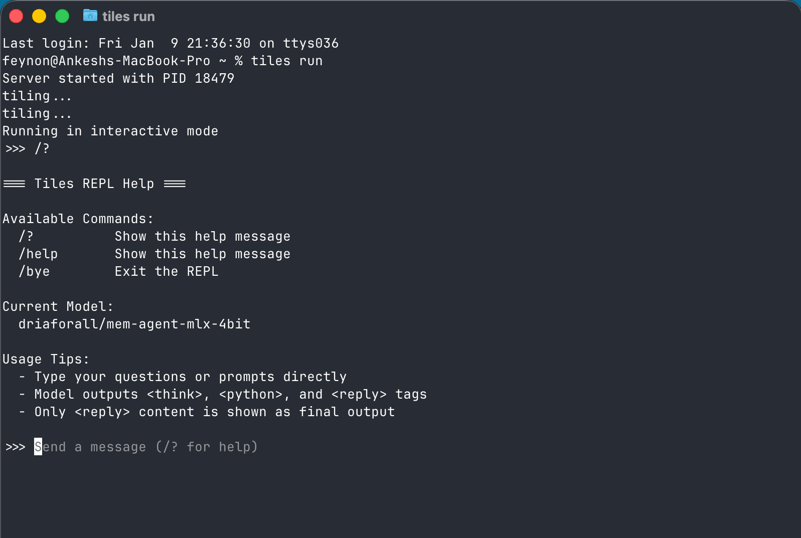 Tiles CLI - Your private and secure AI assistant running locally
